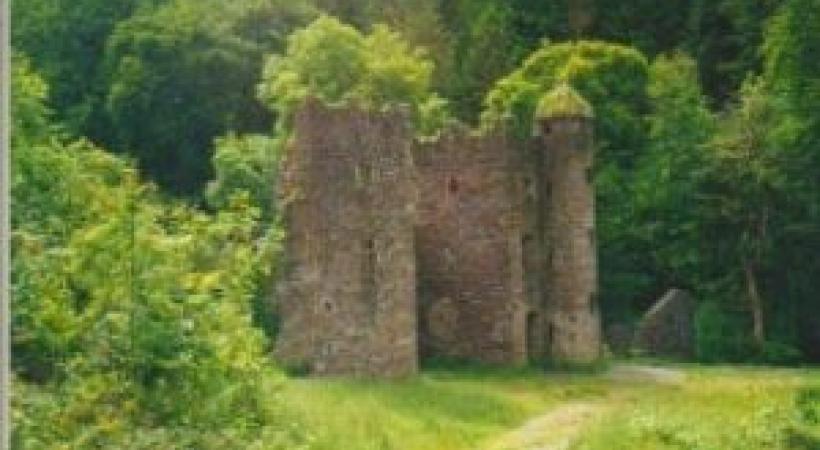 Carey&#8217;s Castle