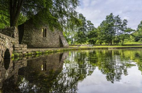 Saint Patricks Well